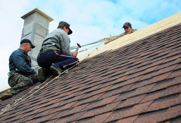 Best Roof Repair Services  in Savannah, TN